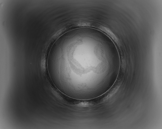 X0000100480441200806131233
