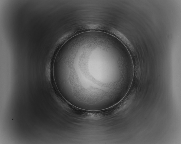 X0000100480442200806131233