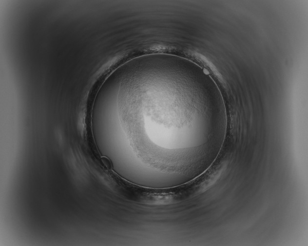 X0000100480443200806131233