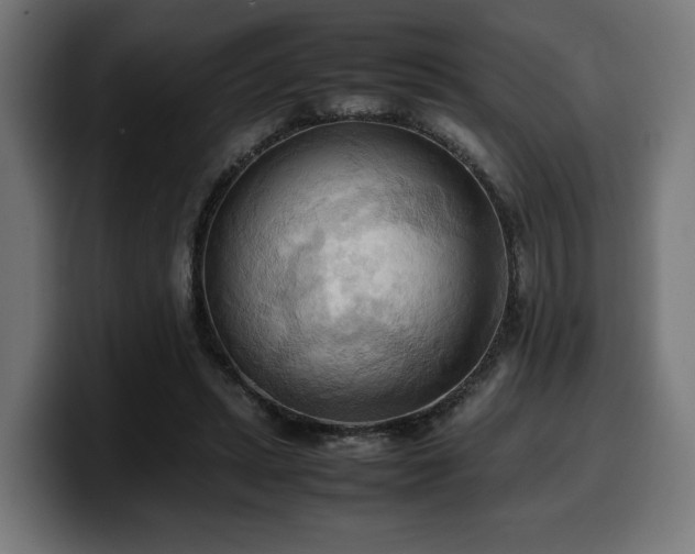 X0000100480447200806131233