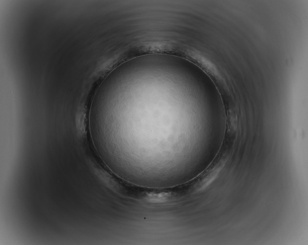 X0000100480450200806131233