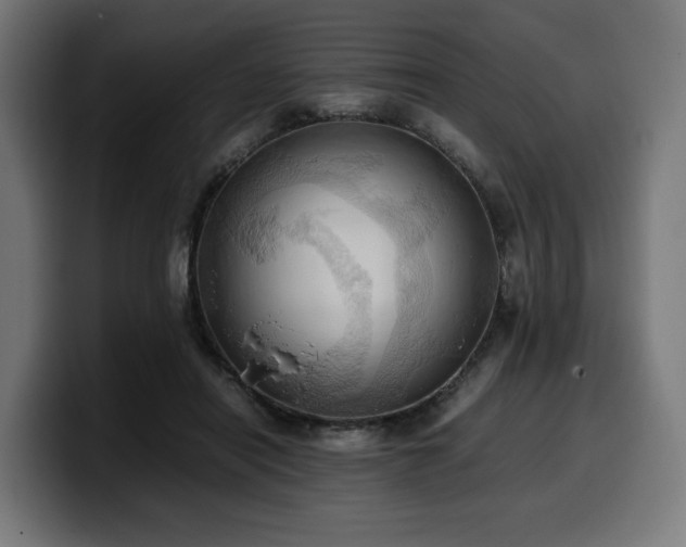 X0000100480454200806131233
