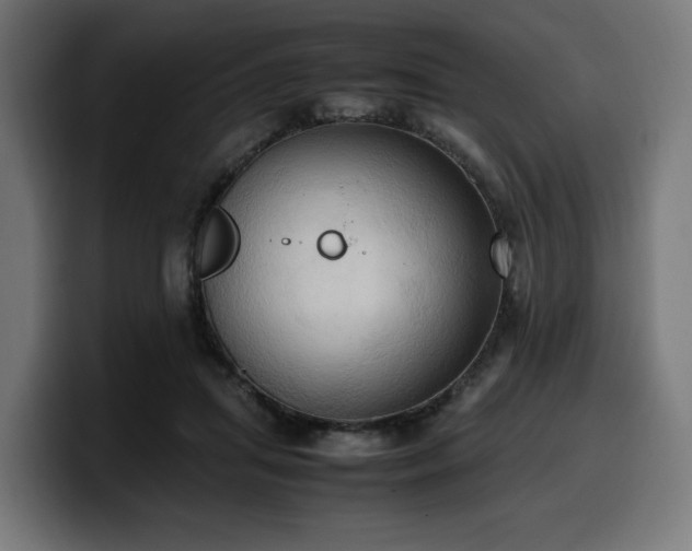 X0000100480455200806131233