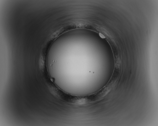 X0000100480456200806131233