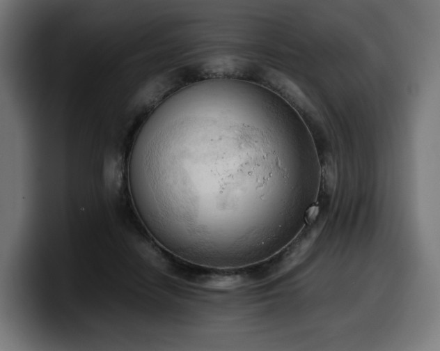X0000100480458200806131233
