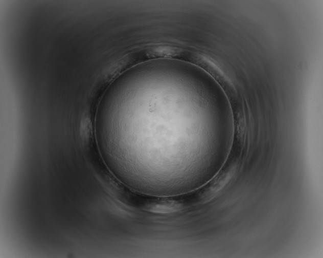 X0000100480459200806131233