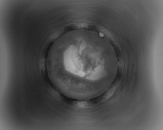 X0000100480462200806131233