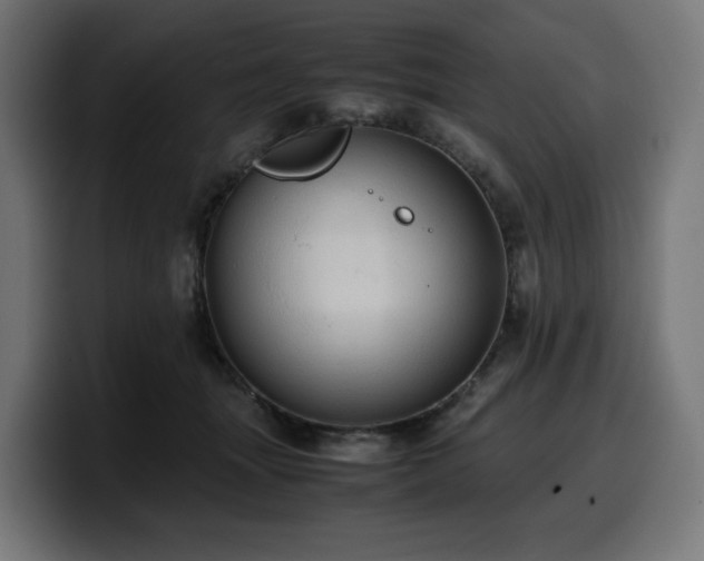X0000100480463200806131233