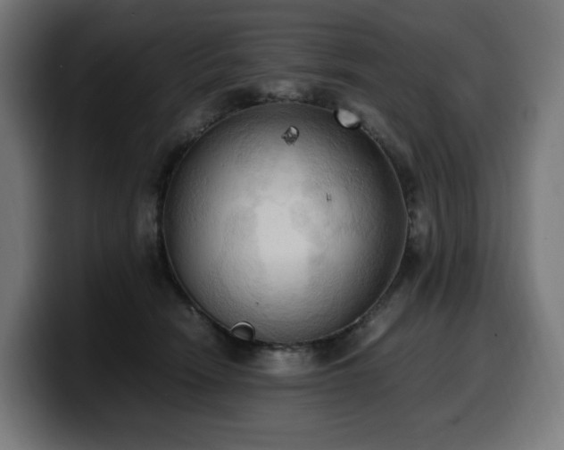 X0000100480466200806131233