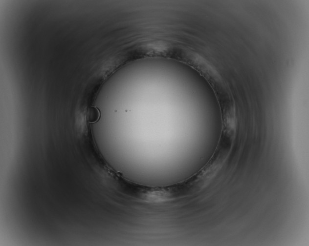 X0000100480468200806131233