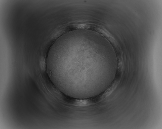 X0000100480469200806131233