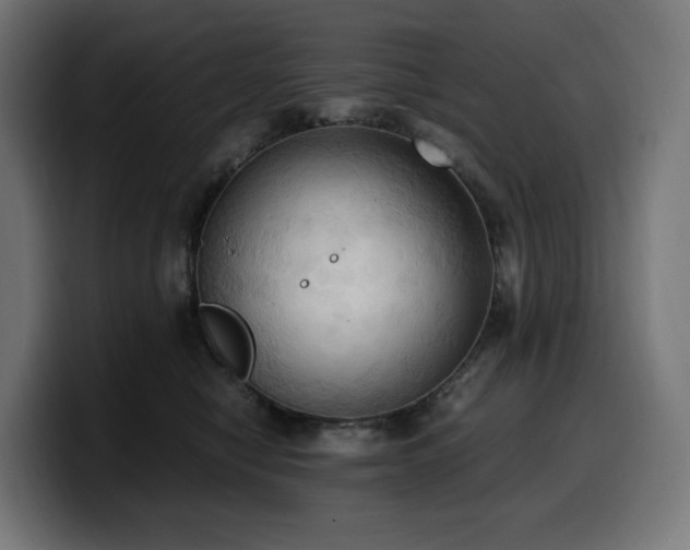 X0000100480470200806131233