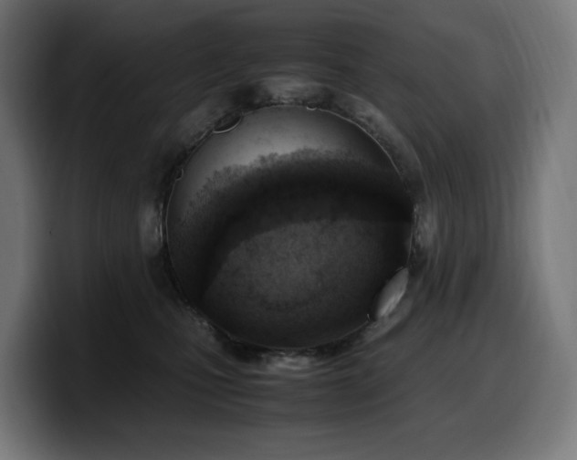 X0000100480471200806131233