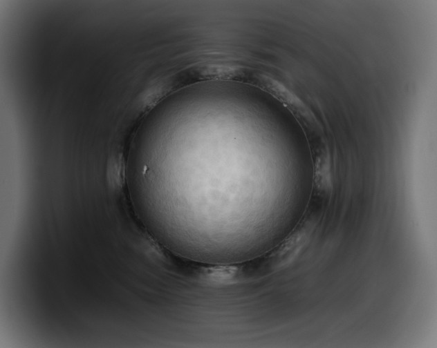X0000100480474200806131233