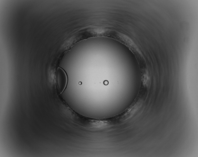 X0000100480476200806131234