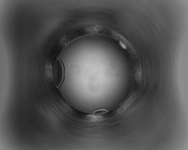 X0000100480477200806131234