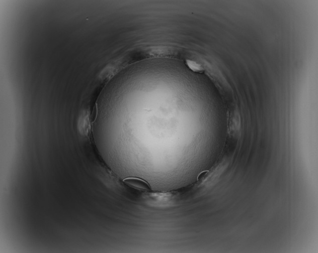 X0000100480478200806131234