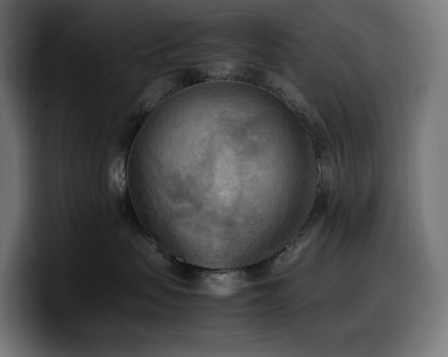 X0000100480479200806131234