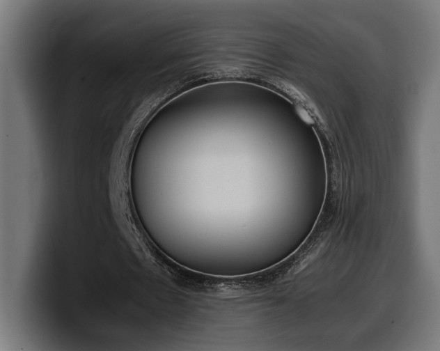 X0000100480481200806131233