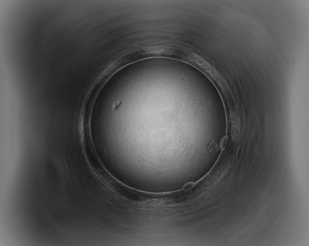 X0000100480482200806131233