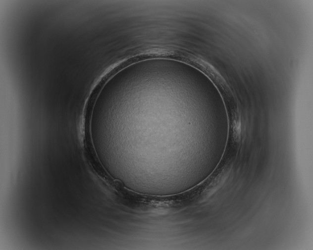 X0000100480484200806131233