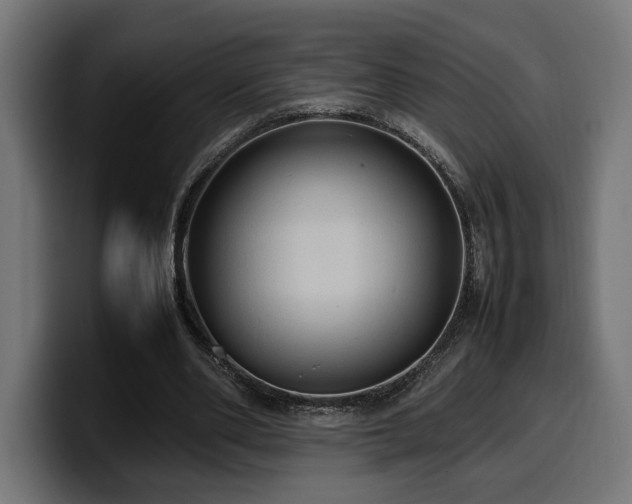 X0000100480486200806131233