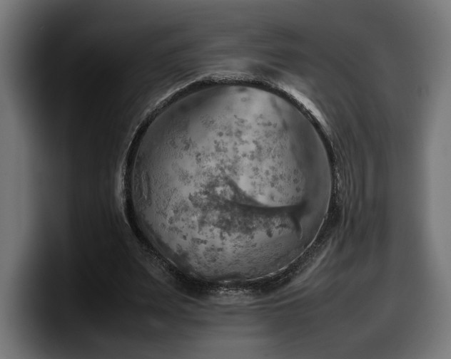 X0000100480487200806131233