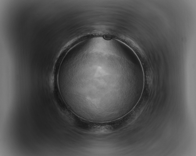 X0000100480488200806131233