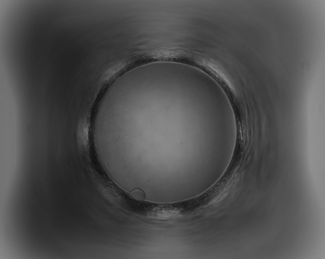 X0000100480491200806131233