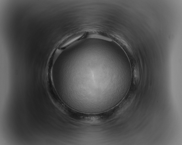 X0000100480492200806131233
