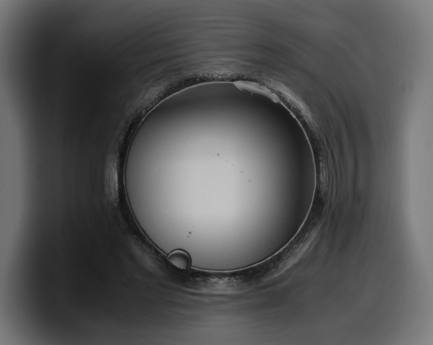 X0000100480493200806131233
