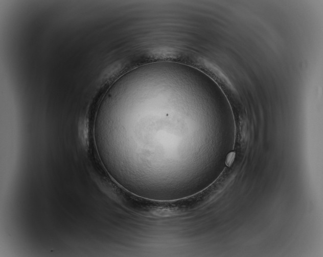X0000100480494200806131233