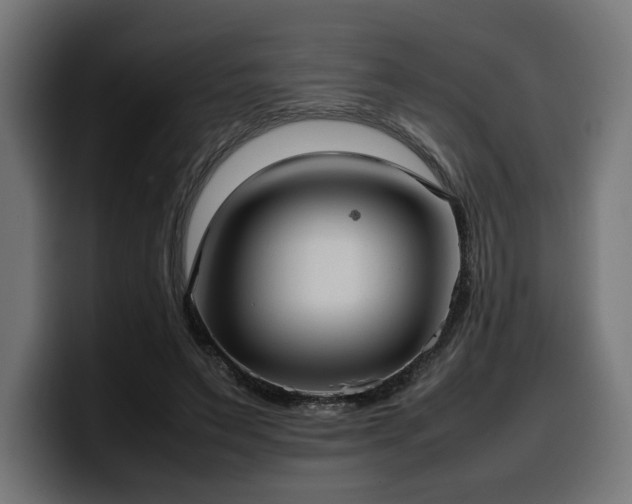 X0000100480495200806131233
