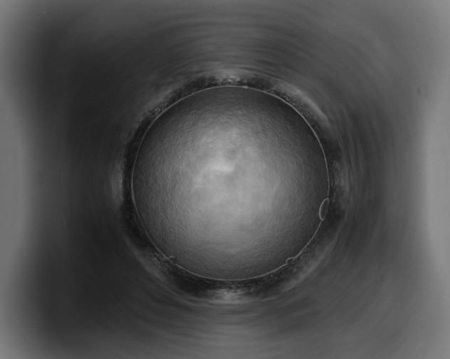 X0000100480496200806131233