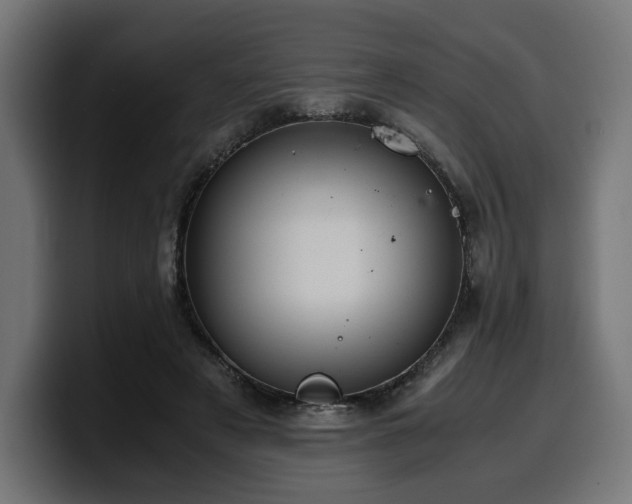 X0000100480497200806131233