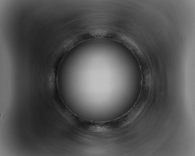 X0000100480498200806131233