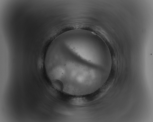 X0000100480499200806131233