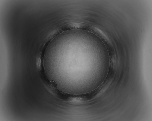 X0000100480500200806131233