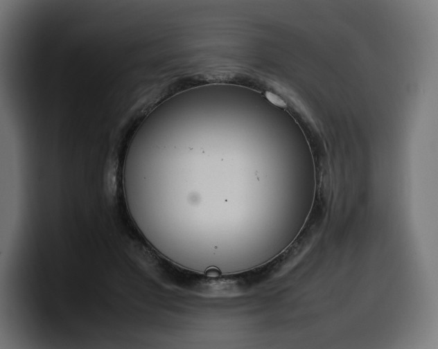 X0000100480501200806131233