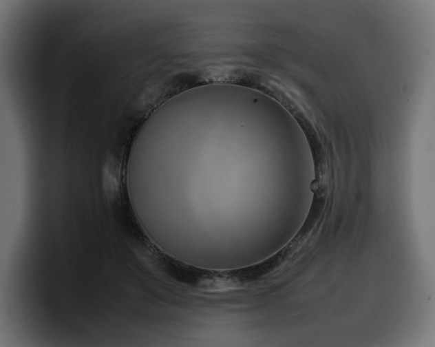 X0000100480503200806131233