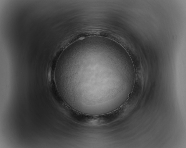 X0000100480504200806131233