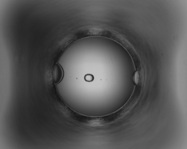 X0000100480505200806131233