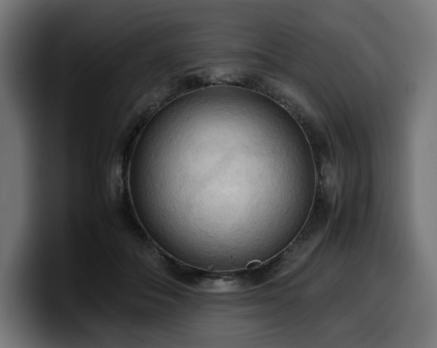 X0000100480506200806131233