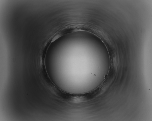 X0000100480508200806131233