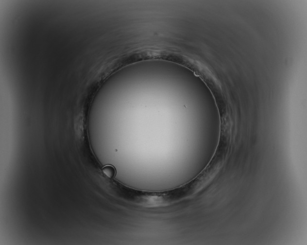 X0000100480509200806131233