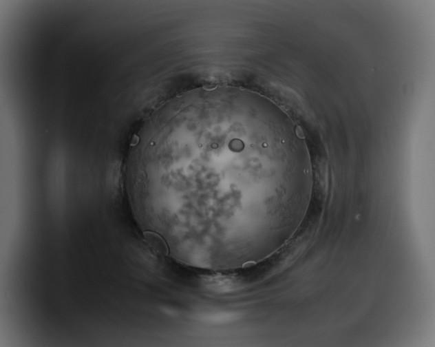 X0000100480511200806131233