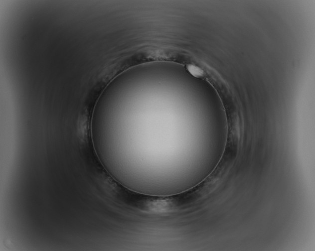 X0000100480513200806131233