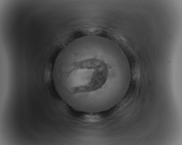 X0000100480515200806131232