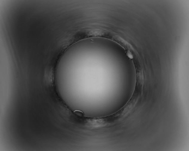 X0000100480517200806131232