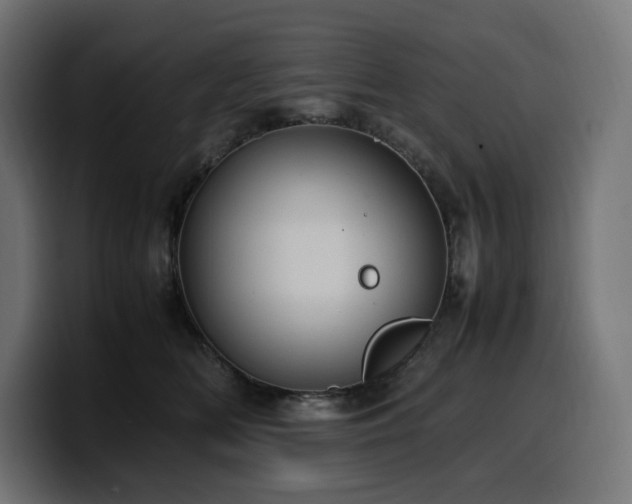 X0000100480518200806131232